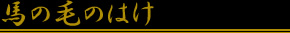 馬の毛のはけ